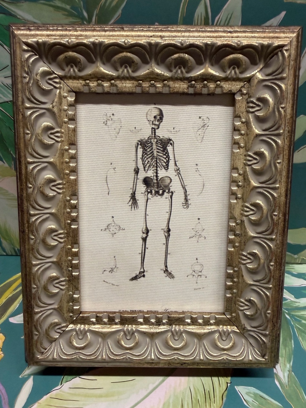Skeleton Anatomy Framed Wall Art Ornate Gold Frame Halloween Gothic Decor